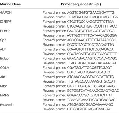 Evaluating Osteogenic Differentiation of Osteoblastic Precursors Upon Intermittent Administration of PTH/IGFBP7